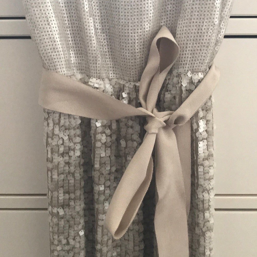 Beautiful Sequin Silver Dress From Express - Picture 4 of 7